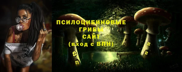 наркотики Алексин