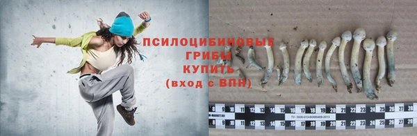 твердый Алексеевка